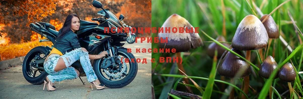 спиды Елизово