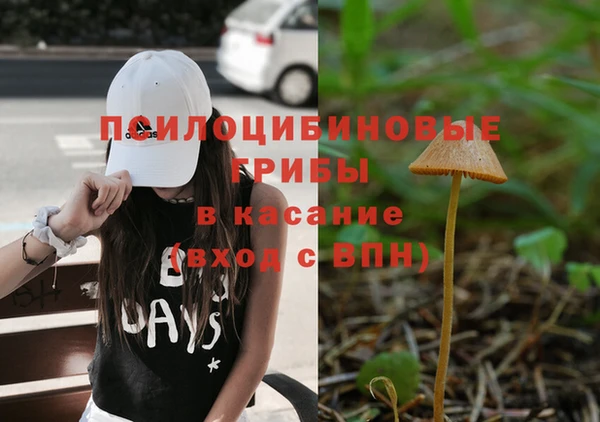 амфетамин Ельня