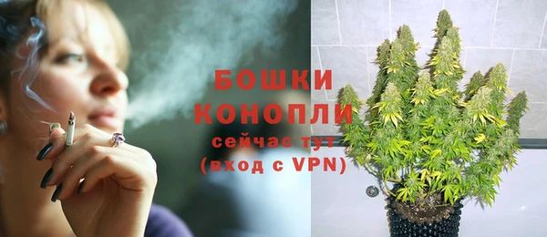 спиды Елизово